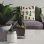 The Ultimate Guide to Choosing The Right Plant for Your Home